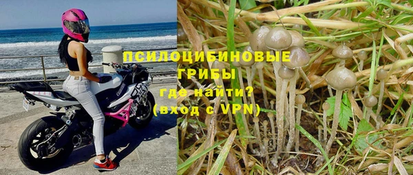 ГАЛЛЮЦИНОГЕННЫЕ ГРИБЫ Беломорск