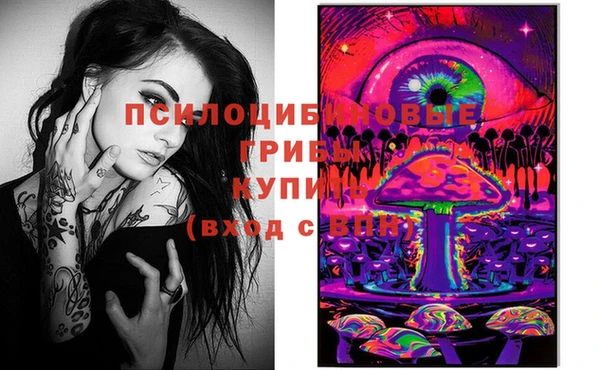 прущая мука Белокуриха