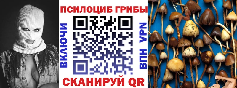 Галлюциногенные грибы MAGIC MUSHROOMS  Купить закладки  Игра 